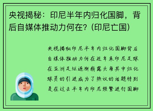 央视揭秘：印尼半年内归化国脚，背后自媒体推动力何在？(印尼亡国)