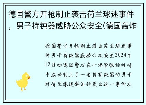 德国警方开枪制止袭击荷兰球迷事件，男子持钝器威胁公众安全(德国轰炸荷兰)