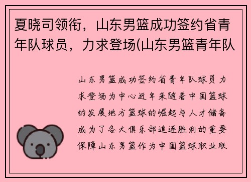 夏晓司领衔，山东男篮成功签约省青年队球员，力求登场(山东男篮青年队队员名单)