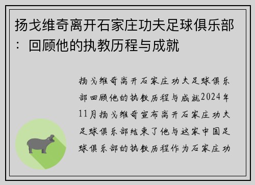 扬戈维奇离开石家庄功夫足球俱乐部：回顾他的执教历程与成就