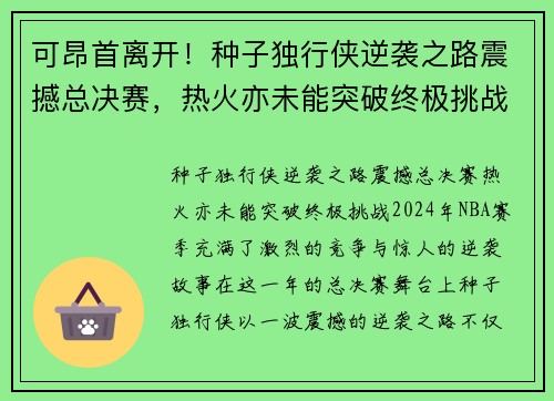 可昂首离开！种子独行侠逆袭之路震撼总决赛，热火亦未能突破终极挑战